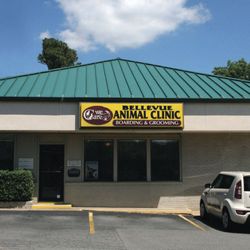 Bellevue Animal Clinic