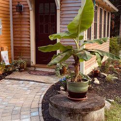 Mansfield Hollow Skincare - Located in quiet Mansfield Hollow