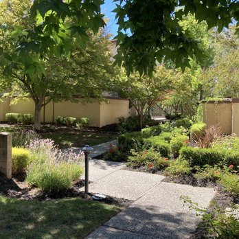 Emerald Landscape Company - a pathway through a garden - Irrigation Near Me - Livermore, California Emerald Landscape Company - a pathway through a garden - Irrigation Near Me - Livermore, California