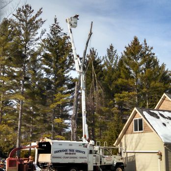Oakridge Tree Service - Tree Services Near Me - Gladwin, Michigan Oakridge Tree Service - Tree Services Near Me - Gladwin, Michigan