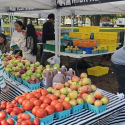 Green City Market - Organic produce!