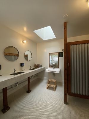 Mendocino Grove by null