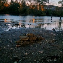Leeper Park - Dawn patrol