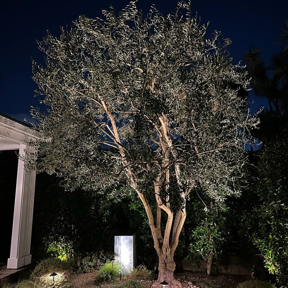 Tim Ynclan's Artistic Tree Service - Tree Services Near Me Tim Ynclan's Artistic Tree Service - Tree Services Near Me