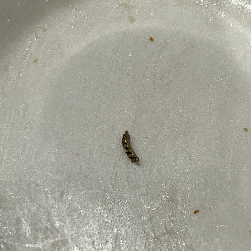 Metal in my last bite of bread. Metal in my last bite of bread.