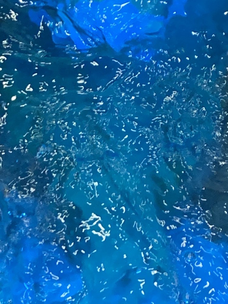 VIVIAN NAILS & SPA 508 Photos & 59 Reviews 497 Bloomfield Ave