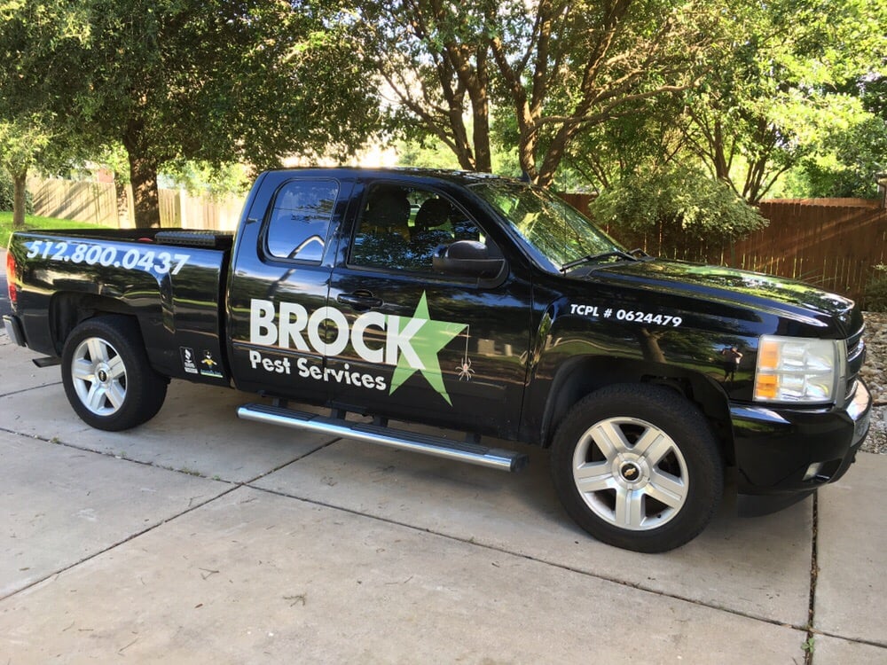 BROCKSTAR PEST SERVICES Updated August 2024 34 Reviews Austin