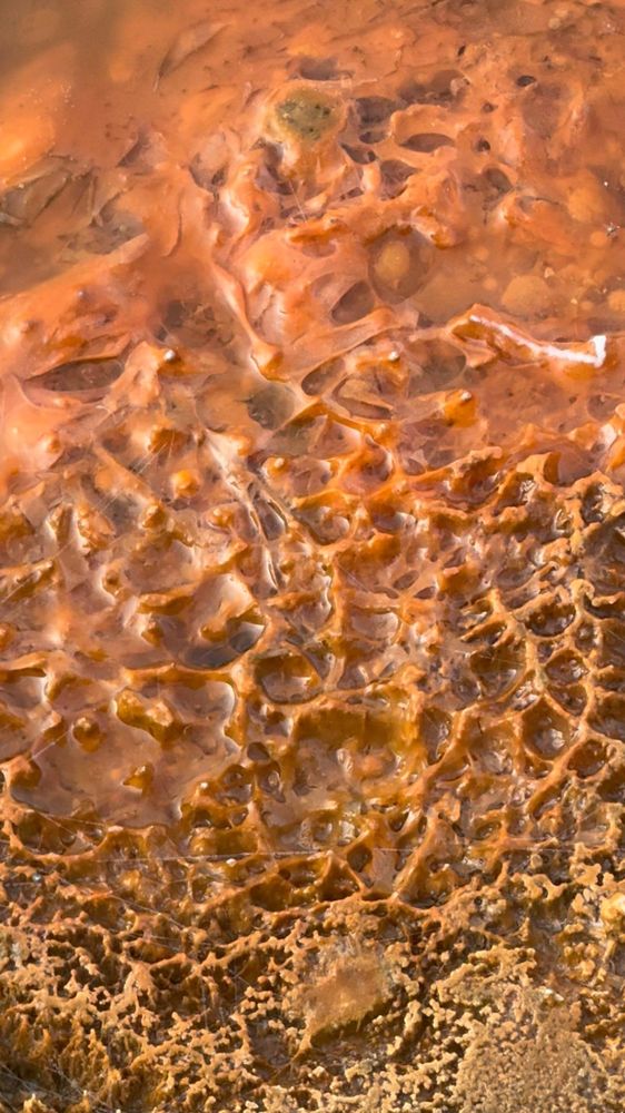 Yellowstone National Park - WEST Entrance Logo