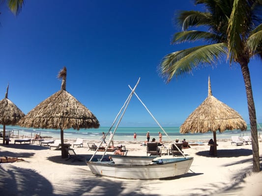 Mandarina Seaside restaurant by null