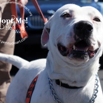 animal outreach near me