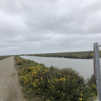 Hayward Shoreline Interpretive Center - Beaches Near Me - Hayward, California Hayward Shoreline Interpretive Center - Beaches Near Me - Hayward, California