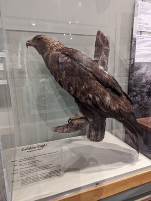 Santa Cruz Museum of Natural History by null