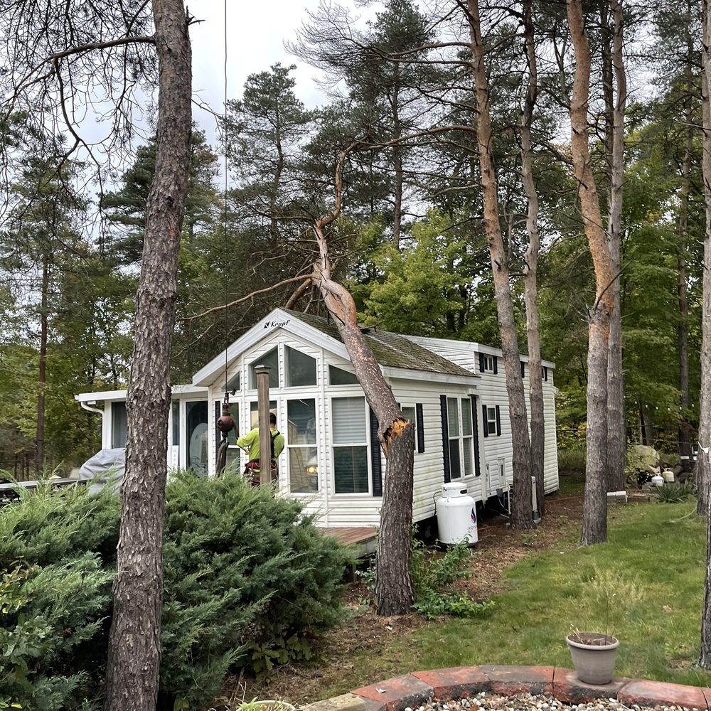 Gallardo Tree Service - Tree Services Near Me