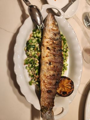 CENTO Raw Bar by null