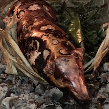 Toa Luau - The EPIC pig !! - Cultural Center Near Me - Haleiwa, Hawaii Toa Luau - The EPIC pig !! - Cultural Center Near Me - Haleiwa, Hawaii