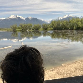 Allentown Restaurant - Watching turtles on the logs - American Near Me - Charlo, Montana