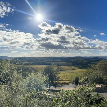 Palmaz Vineyards - Wineries Near Me - Napa, California Palmaz Vineyards - Wineries Near Me - Napa, California