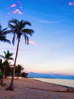 Key West by null
