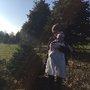 Photo of Bear Swamp Christmas Tree Farm