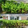 Photo of 405 Lawn Solutions