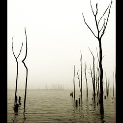 Manasquan Reservoir Environmental Center