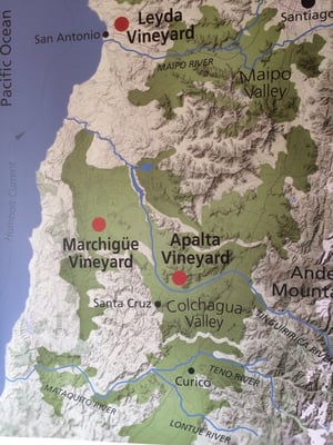 Viña Montes by null