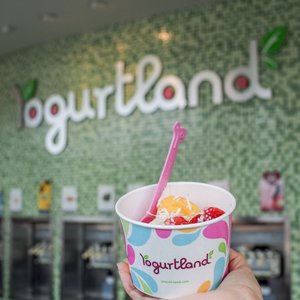 Yogurtland Burlingame on Yelp
