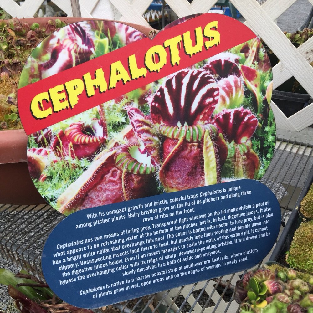 California Carnivores - Nurseries & Gardening Near Me - Sebastopol, California California Carnivores - Nurseries & Gardening Near Me - Sebastopol, California
