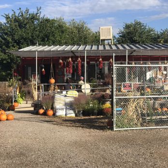 Albuquerque Water Gardens Nurseries Gardening 1800 Candelaria Nw North Valley Los Ranchos Albuquerque Nm Phone Number Yelp