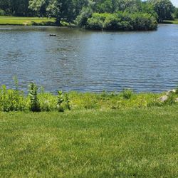 Bevier Park - Along the walkway