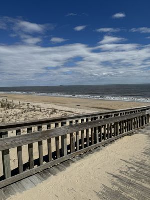 Cape Henlopen State Park by null