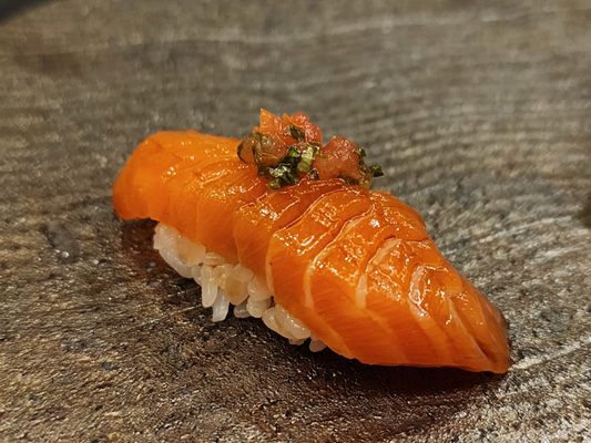Shoyo by null