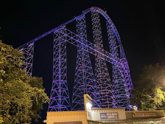 Millennium Force at Cedar Point by null