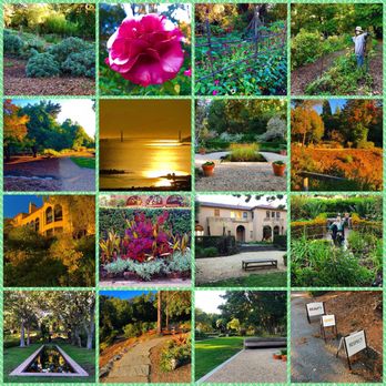 Blake Garden - Montage of images from Blake Garden - Parks Near Me - Kensington, California