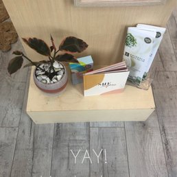 this is just the beginning of what is about to be the best pampering you've ever had