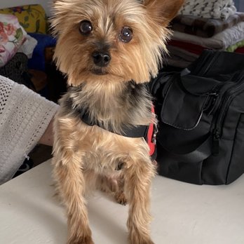 Grooming At The Ranch - Pet Groomers Near Me - Scottsdale, Arizona