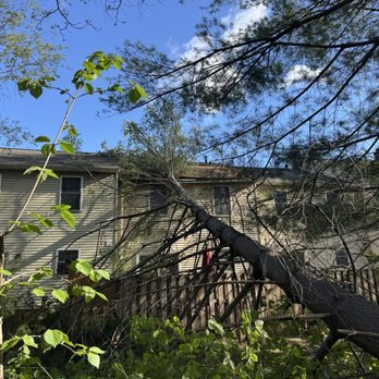 Va Greenturf And Landscapes - Tree Services Near Me Va Greenturf And Landscapes - Tree Services Near Me