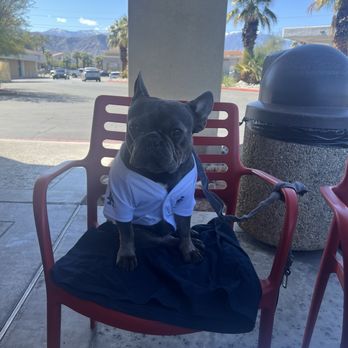 Grill-A-Burger - Pet friendly - Burgers Near Me - Palm Desert, California Grill-A-Burger - Pet friendly - Burgers Near Me - Palm Desert, California