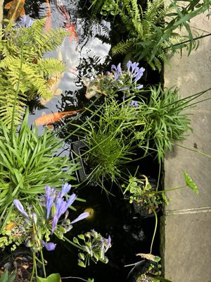 Number Sixteen by null