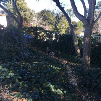 Cipriani Dog Park - Dog Parks Near Me - Belmont, California Cipriani Dog Park - Dog Parks Near Me - Belmont, California