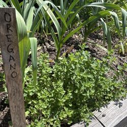 Kilbourn Park & Organic Green House