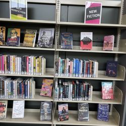 Seattle Public Library - Greenwood Branch - New non fiction and fiction