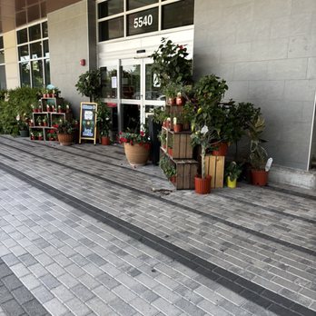 The Fresh Market - Grocery Near Me - Boca Raton, Florida