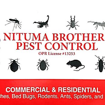 Nituma Brothers Pest Control - Pest Control Near Me - Fairfield, California Nituma Brothers Pest Control - Pest Control Near Me - Fairfield, California