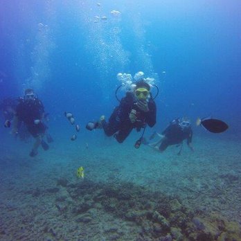 Oahu Diving - Scuba Diving Near Me - Honolulu, Hawaii Oahu Diving - Scuba Diving Near Me - Honolulu, Hawaii