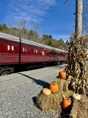 Great Smoky Mountains Railroad by null