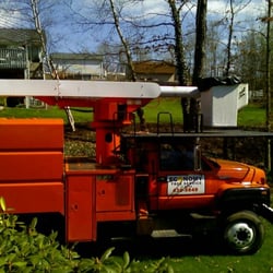 Economy Tree Service Nepa