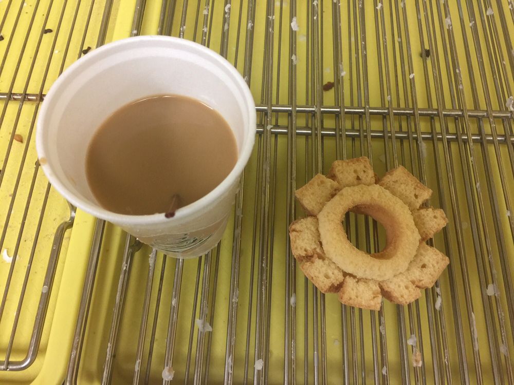 Fresh Donuts 12