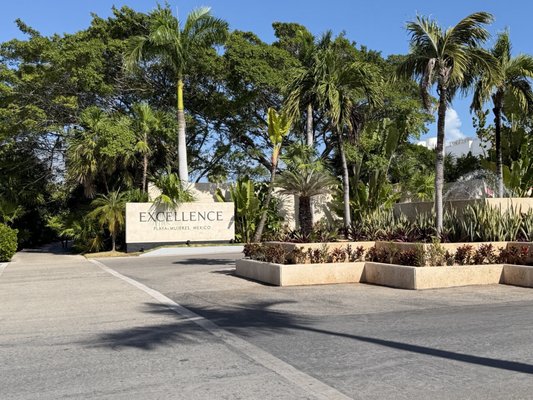 Excellence Playa Mujeres by null