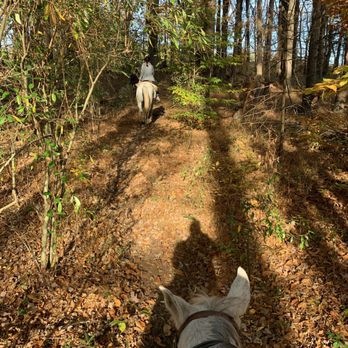 Serene Horse Ranch - Horseback Riding Near Me - Layton, New Jersey Serene Horse Ranch - Horseback Riding Near Me - Layton, New Jersey